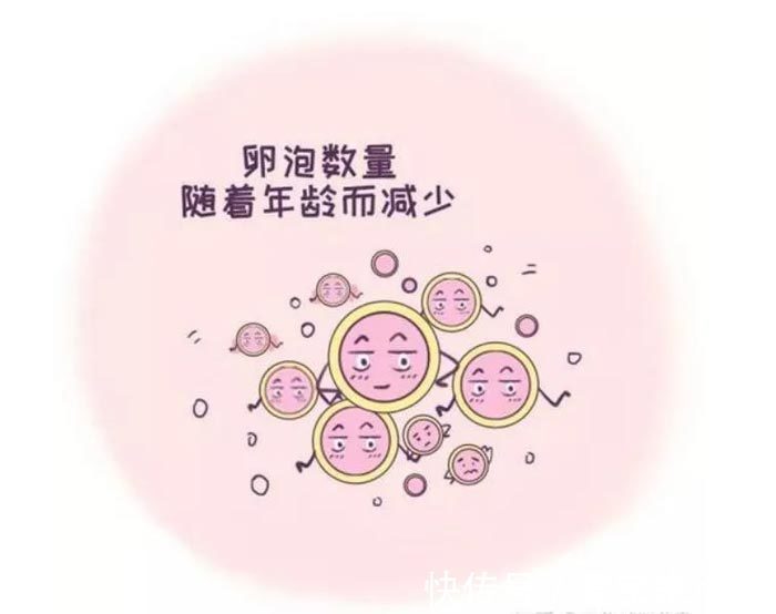 检查报告