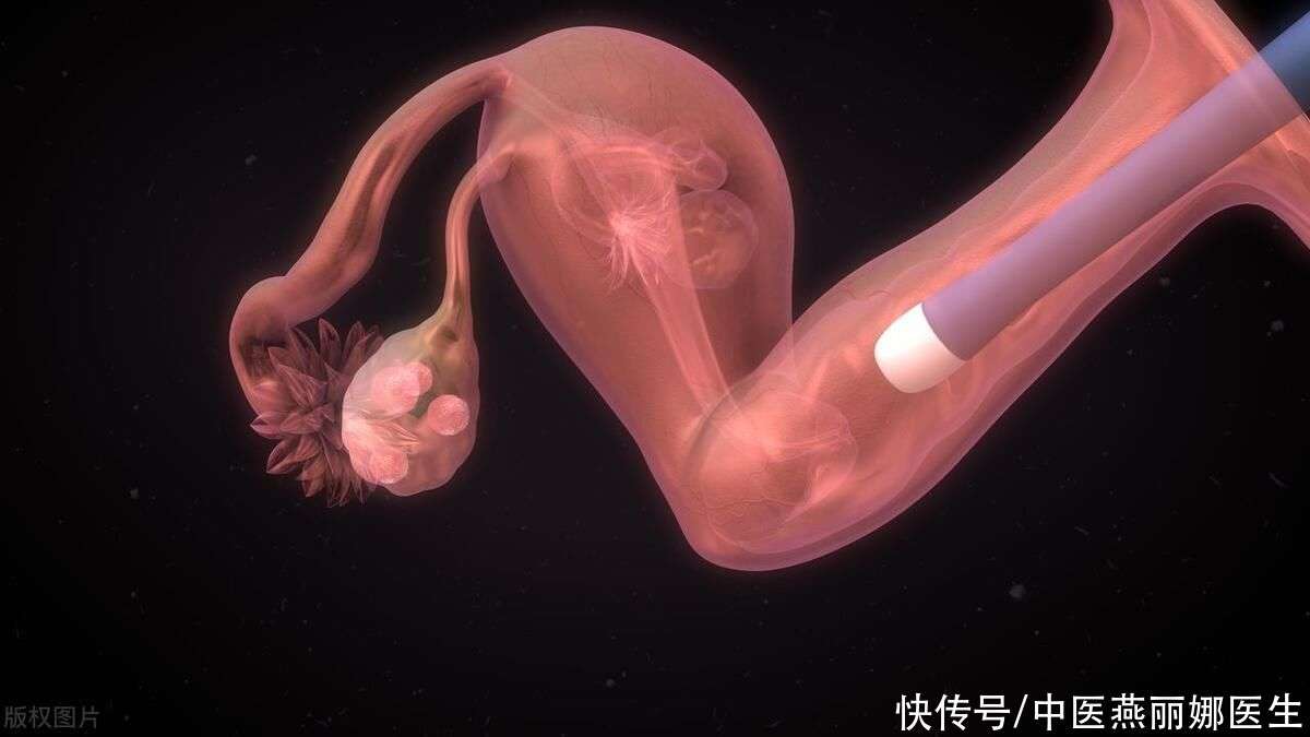 杭州捐卵联系方式