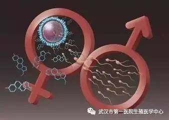 捐卵