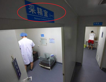 有偿捐卵