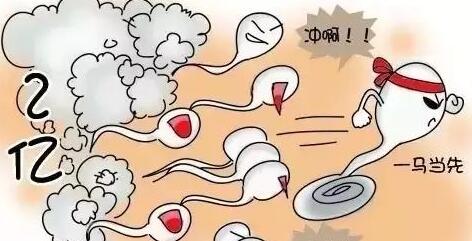 杭州有偿捐卵公司