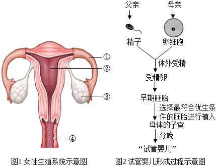 曲靖助孕中心
