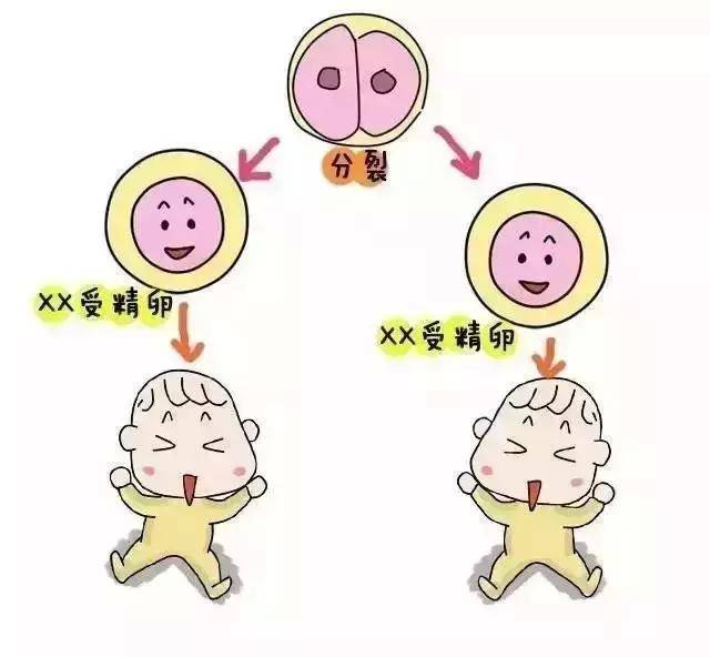 杭州捐卵试管生男孩