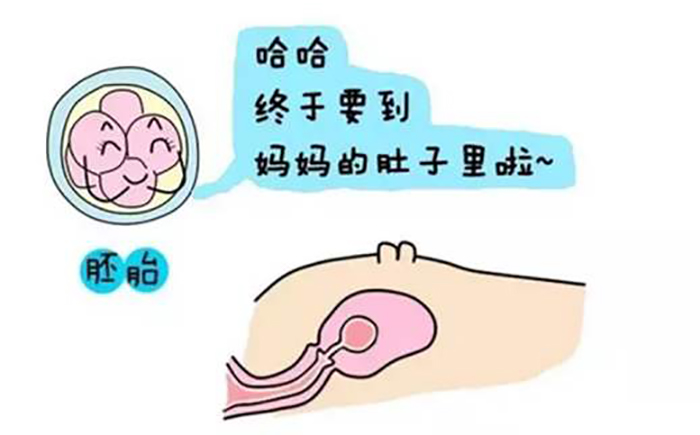 杭州试管婴儿捐卵供卵
