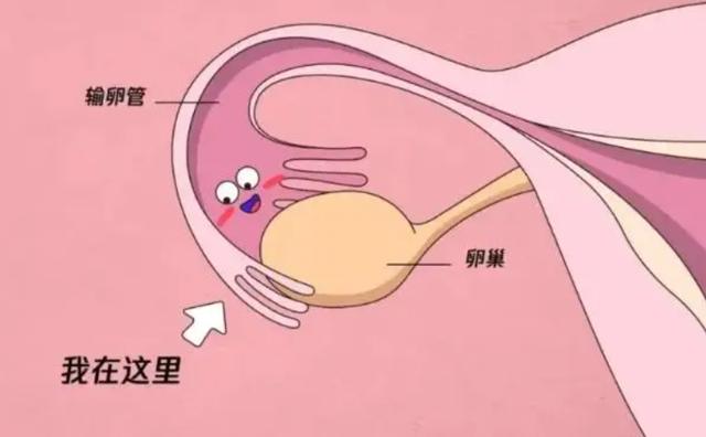 杭州不孕