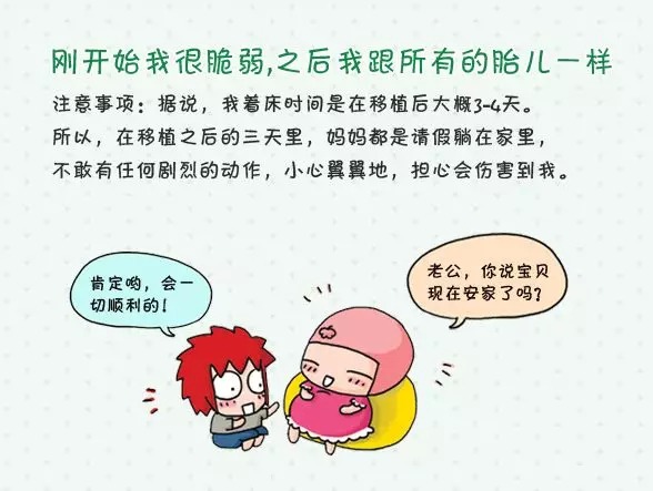 曲靖捐卵公司