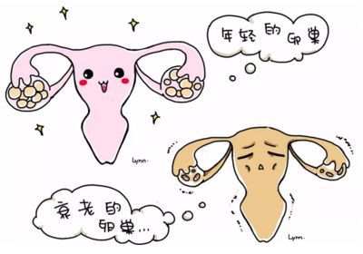 杭州助孕公司