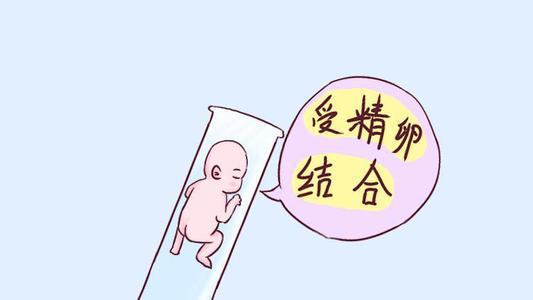 杭州捐卵公司