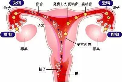 月子中心