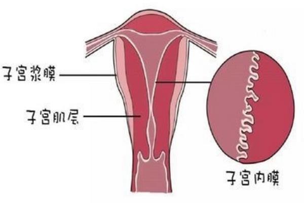 试管婴儿